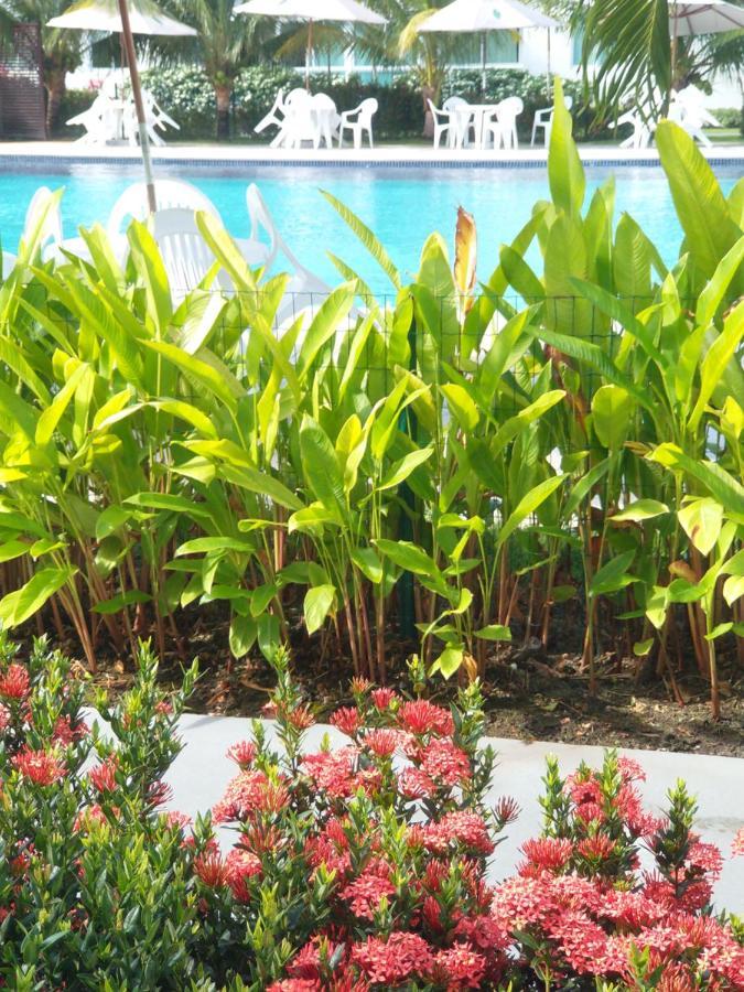 Palm Village Acqua - Lindo - Em frente à piscina - Porto de Galinhas Apto 103 B9 - Térreo Exterior foto